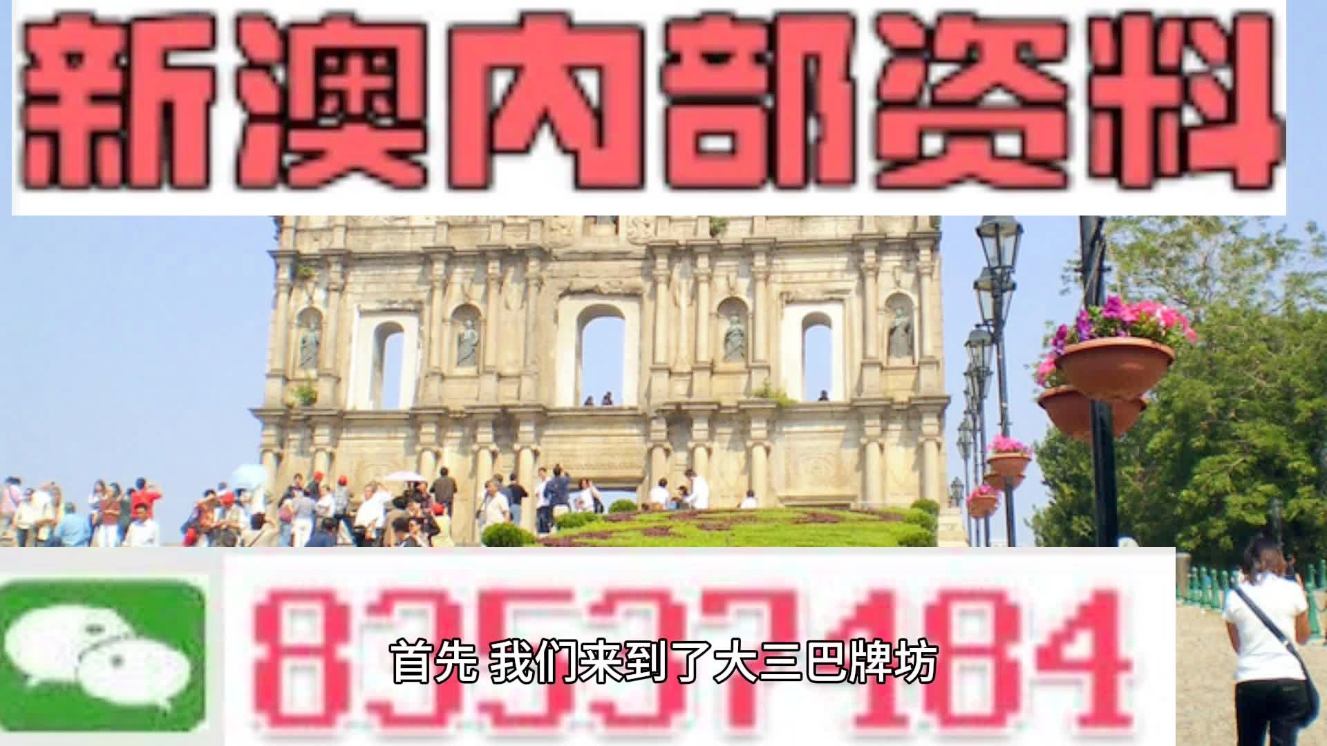 新澳2024年精准特马资料|精选资料解析大全,新澳2024年精准特马资料解析大全，精选资料深度剖析