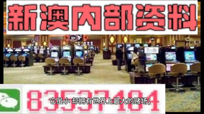 2024新澳精准资料大全|精选资料解析大全,揭秘2024新澳精准资料大全与精选资料解析大全，深度解读与应用指南