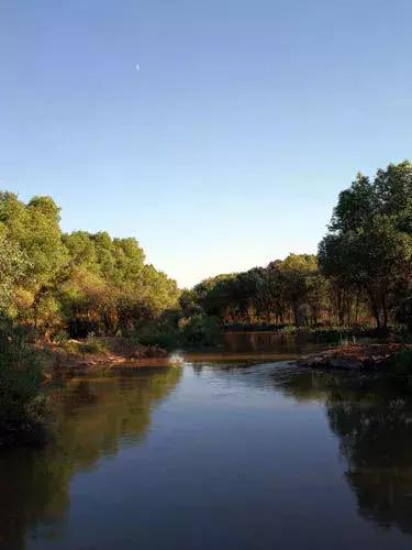 黄藏寺水利枢纽工程最新消息,黄藏寺水利枢纽工程最新消息