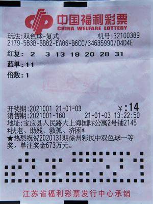 新澳天天开奖资料大全62,新澳天天开奖资料大全62，探索彩票世界的神秘之门