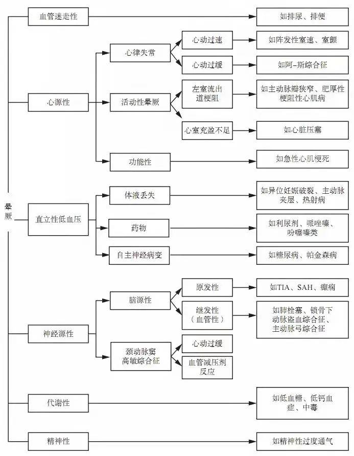 777778888王中王最新,探索数字背后的秘密，揭秘王中王的最新传奇故事——777778888背后的故事