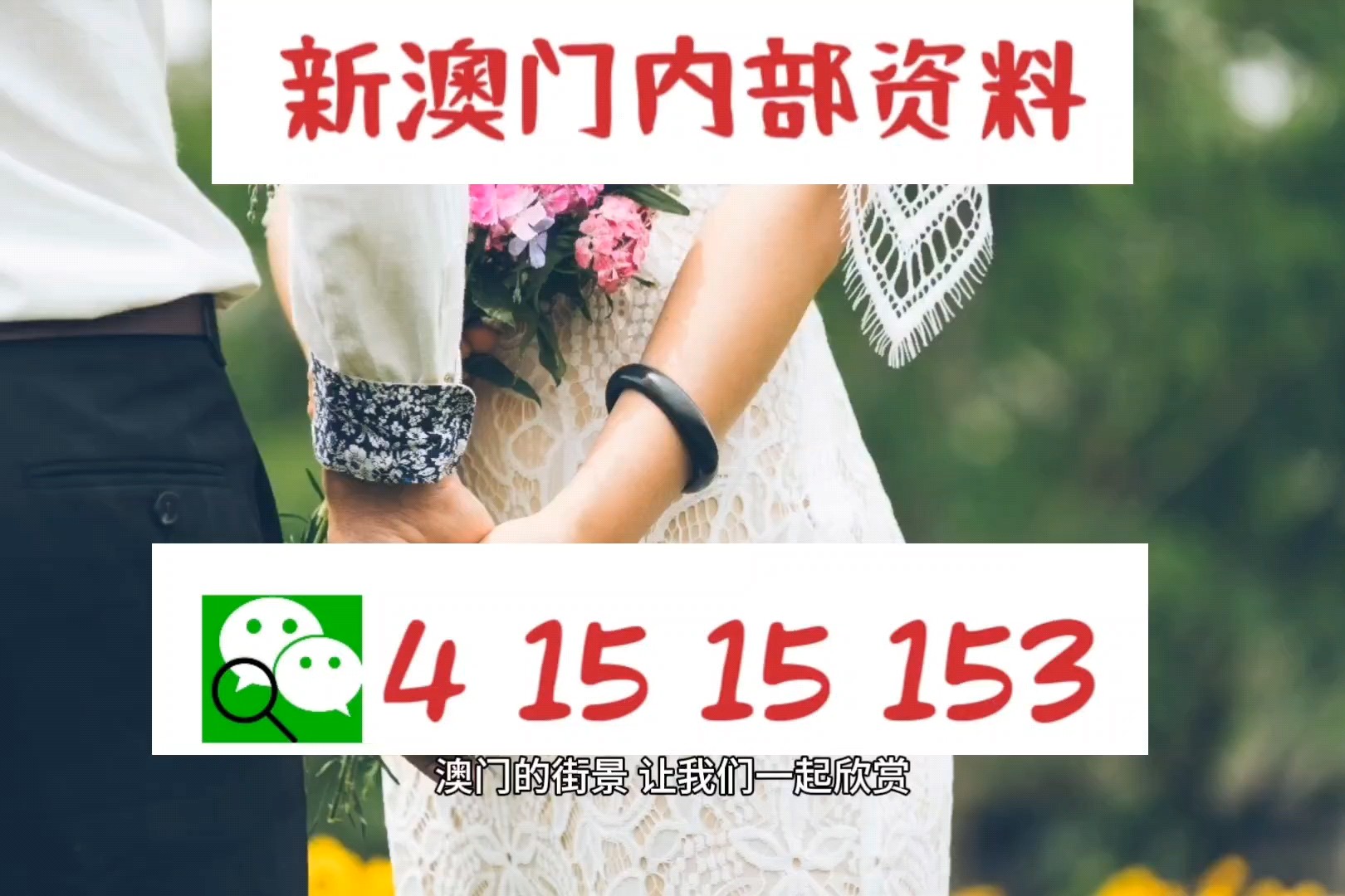 新澳门免费资料最新版,新澳门免费资料最新版，探索与解析