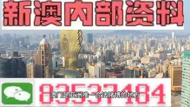 澳门内部最精准免费资料,澳门内部最精准免费资料，探索真实与价值的交汇点
