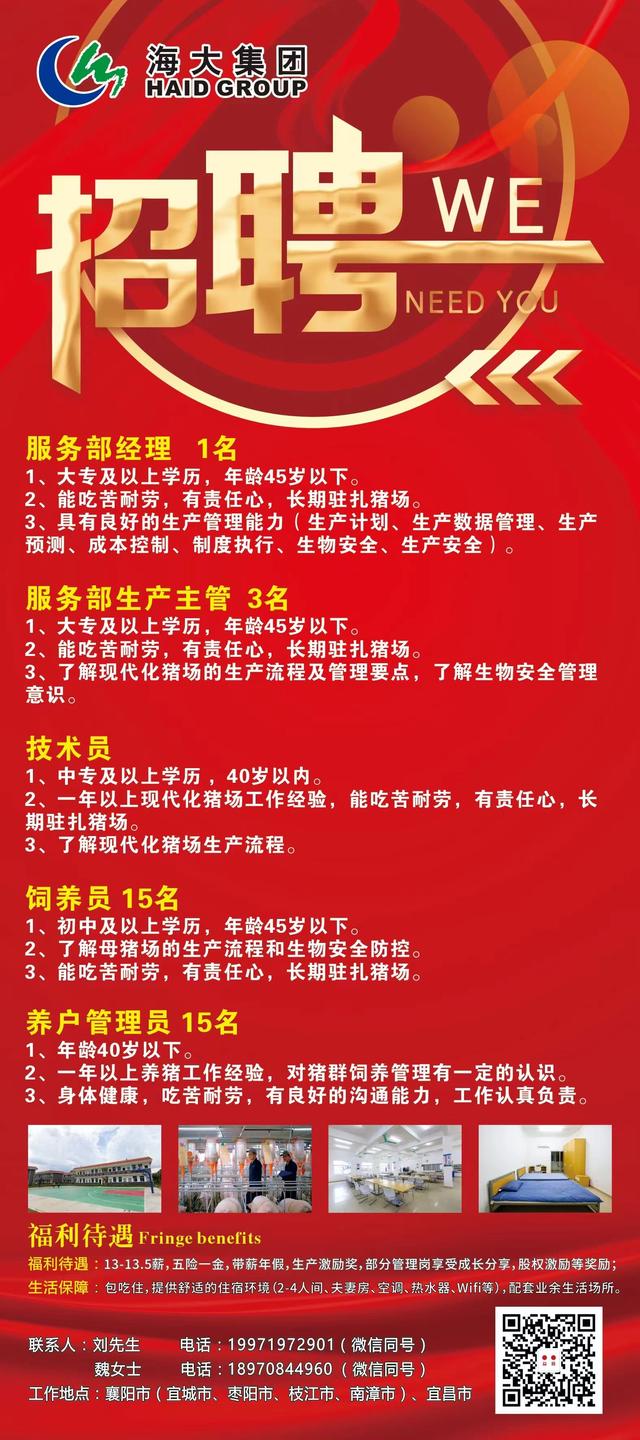 郎溪人才网最新招聘信息,郎溪人才网最新招聘信息详述