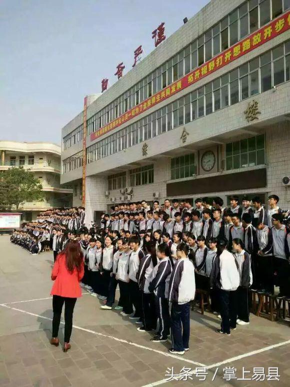 王中王一肖一特一中一澳,王中王一肖一特一中一澳，探索与解读