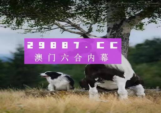 快评 第275页