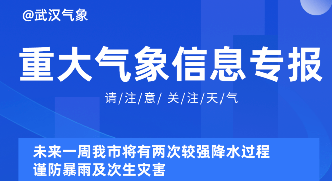 2025新奥资料免费精准资料,探索未来，免费获取精准资料的新奥之路