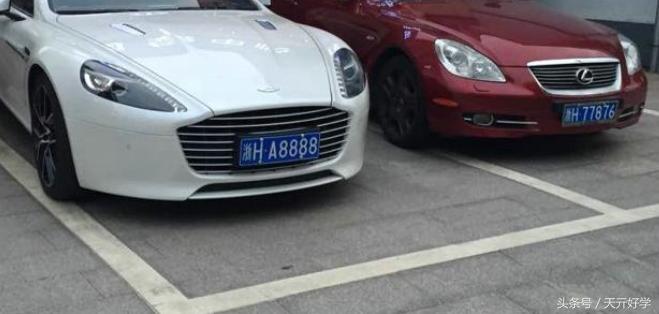 7777788888新版跑狗图论坛,探索新版跑狗图论坛，77777与8888的魅力交织