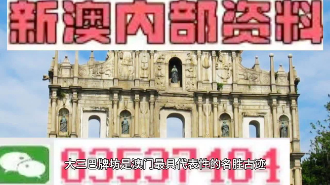 新澳门出今晚最准确一肖,新澳门出今晚最准确一肖——探索命运之轮的神秘面纱