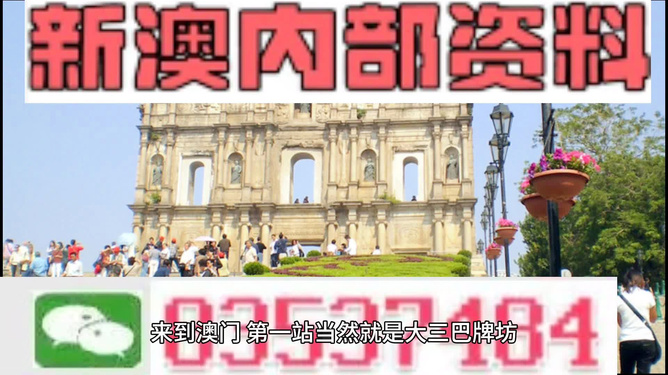 新澳门免费资料精准大全,新澳门免费资料精准大全，探索与解读