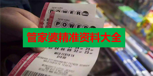 管家婆精准资料免费大全315期,管家婆精准资料免费大全315期，深度解析与使用指南